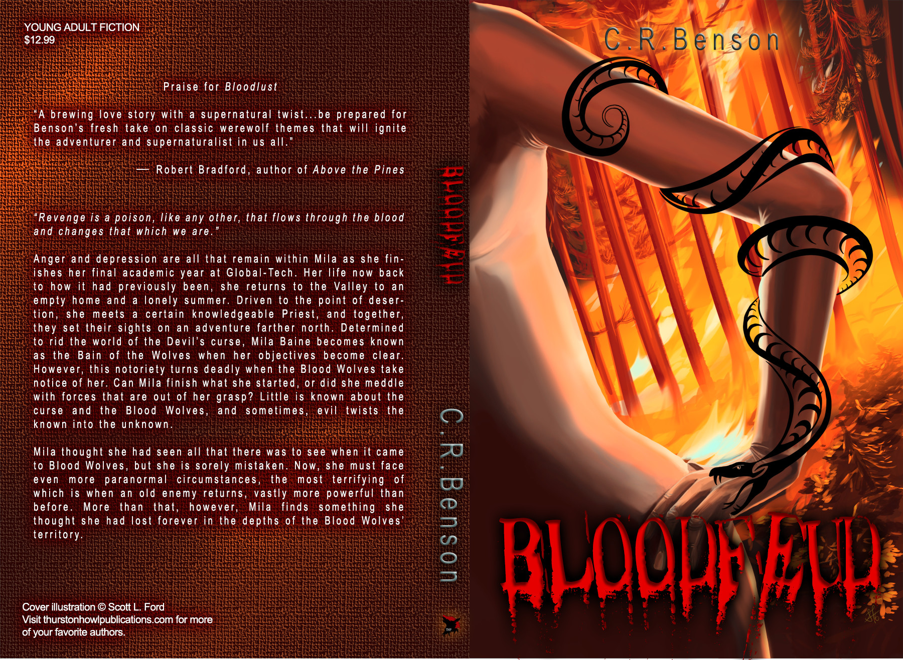 Cover for Bloodfeud by C. R. Benson