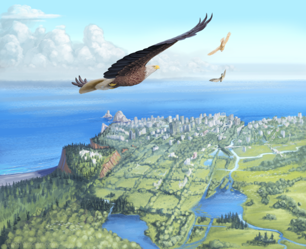 A bald eagle, barn owl, and peregrine falcon arriving high above a ruined human city flourishing with bird life.
