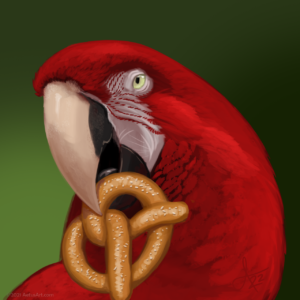 A red macaw holding a pretzel in its beak