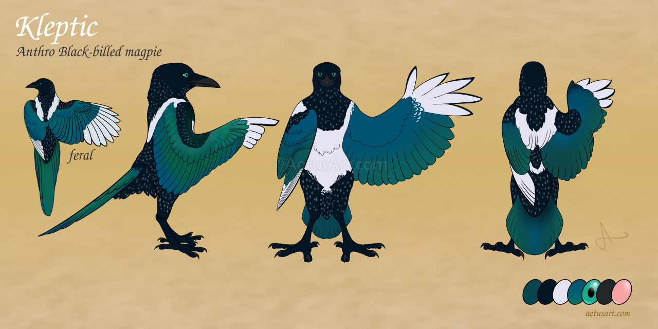 Three standing views of a humanoid magpie with irridescent green wings and tail, white wingtips, and black and white body. Black areas have small white dots.