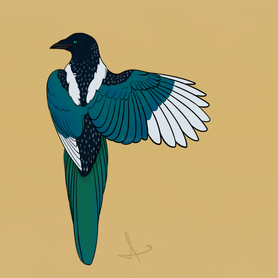 A natural magpie form with black and white body, irridescent green wings and tail, and white wingtips. Black areas have small white dots.
