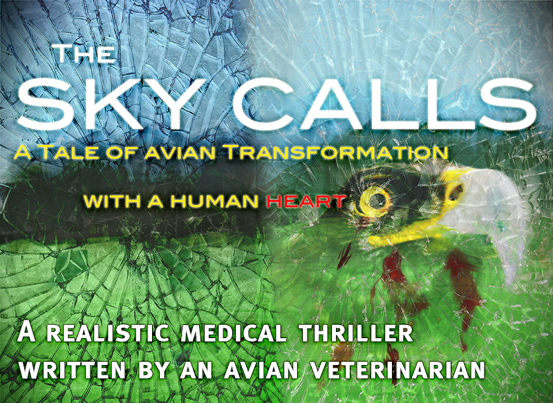 Coming soon, The Sky Calls 2nd Edition!