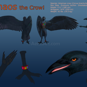 A reference sheet with 3 views of a humanoid crow with amber eyes, irridescent feathers, and separate wings and arms. There's also a smiling face portrait and close-ups of his crow-like foot and four-fingered humanoid hand. Wearing t-shirt and red ankle band with rainbow word "PLURB" on them.