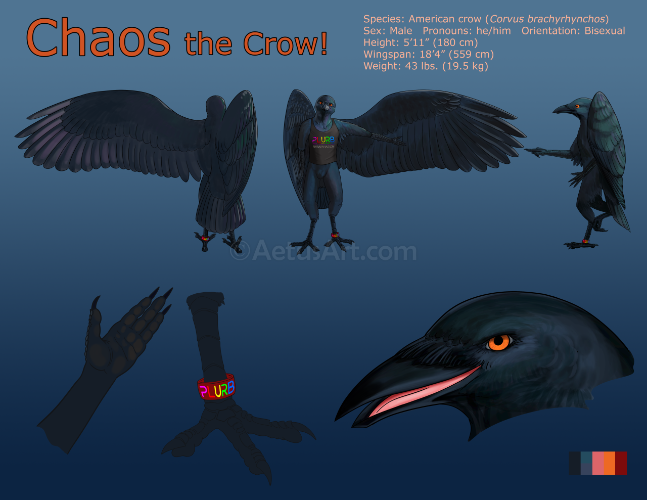A reference sheet with 3 views of a humanoid crow with amber eyes, irridescent feathers, and separate wings and arms. There's also a smiling face portrait and close-ups of his crow-like foot and four-fingered humanoid hand. Wearing t-shirt and red ankle band with rainbow word "PLURB" on them.